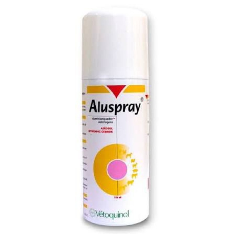 ALUSPRAY 210ML