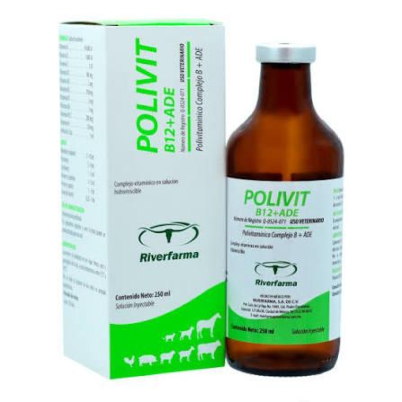 POLIVIT B12 + ADE 250ML