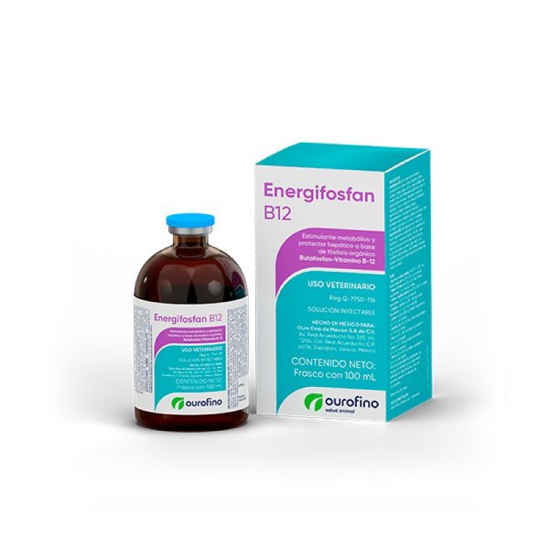 ENERGI FOSFAN B12 250ML